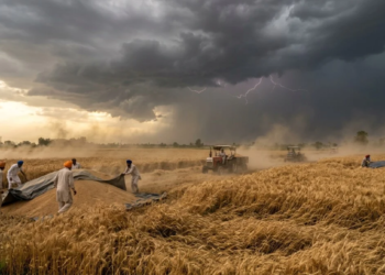 Punjab Weather Alert