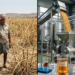 Ethanol Plan