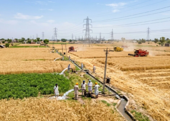 Punjab Power Demand