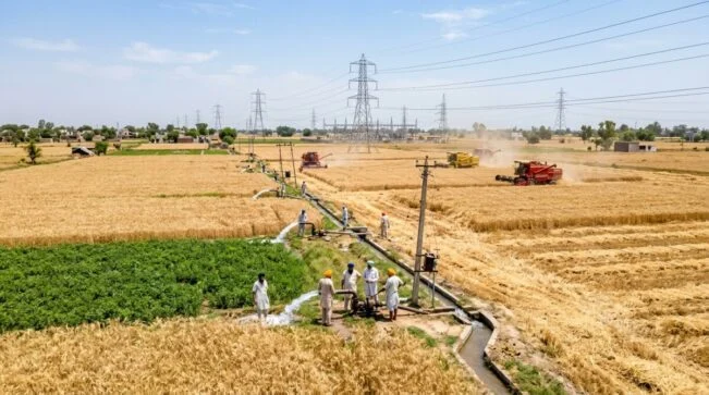 Punjab Power Demand