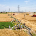 Punjab Power Demand