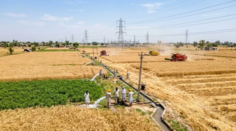 Punjab Power Demand
