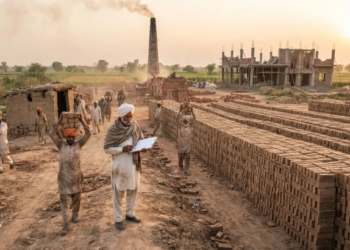 Punjab Brick Prices