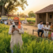 PM Fasal Bima Yojana: अब घर बैठे होगा फसल का बीमा! 14 PM Fasal Bima Yojana