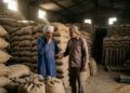 Punjab Grain Storage Crisis