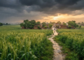 Punjab Weather - Monsoon Rain