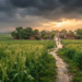 Punjab Weather: पंजाब के कई जिलों में हुई बारिश, गर्मी से मिली राहत 13 Punjab Weather - Monsoon Rain