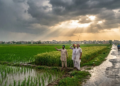 Punjab Weather में बदलाव, भारी बारिश के साथ Yellow Alert जारी 3 Punjab Weather