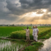 Punjab Weather में बदलाव, भारी बारिश के साथ Yellow Alert जारी 14 Punjab Weather