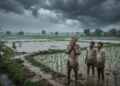 IMD Weather Forecast: अगले 2 हफ्ते भारी बारिश का अलर्ट, जानें किन राज्यों में खतरा 2 IMD Weather
