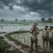 IMD Weather Forecast: अगले 2 हफ्ते भारी बारिश का अलर्ट, जानें किन राज्यों में खतरा 13 IMD Weather