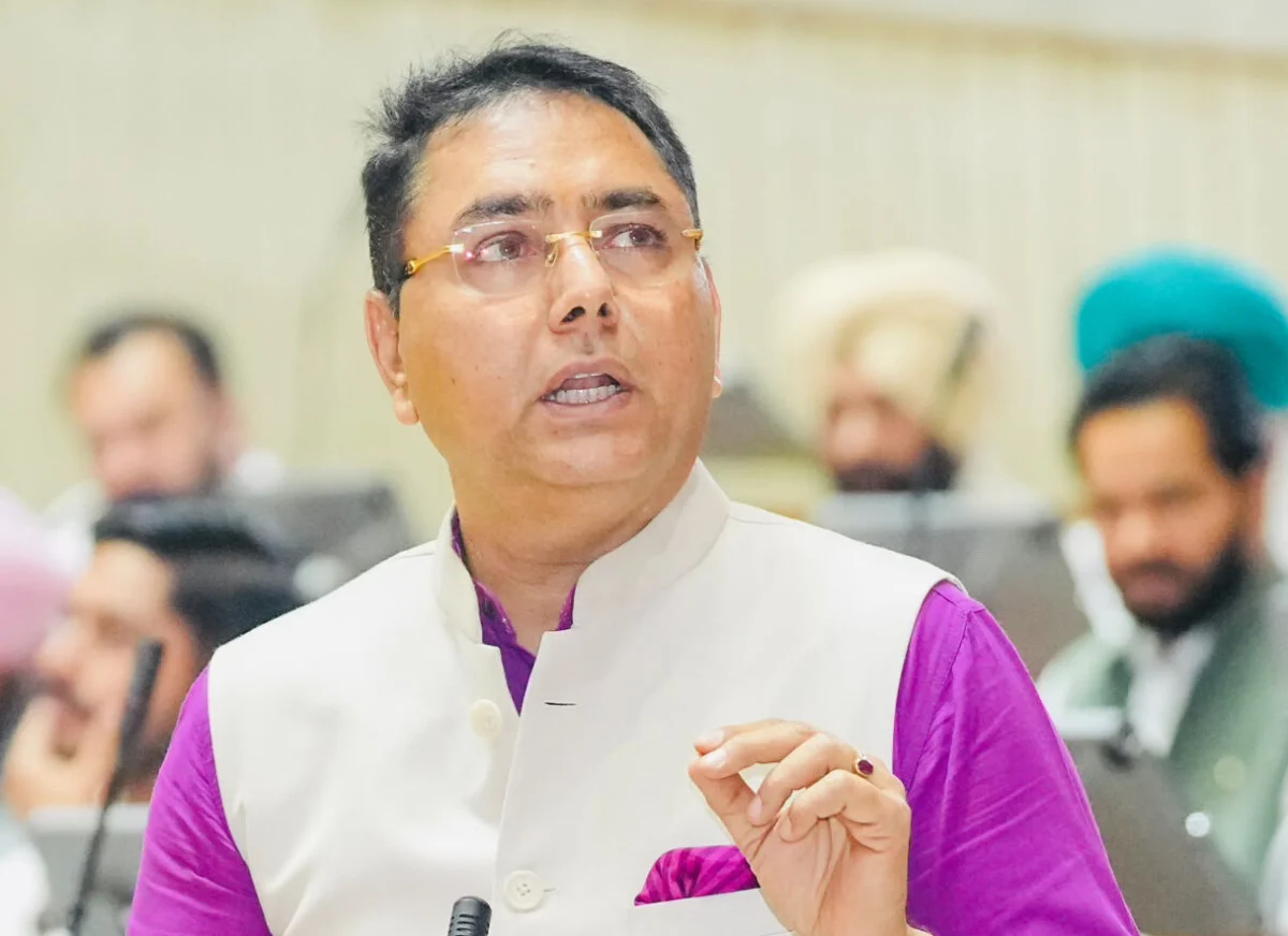 Punjab Cabinet Decisions