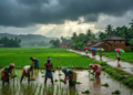 Heavy Rainfall Alert: अगले 2 हफ्तों में भारी बारिश की चेतावनी, IMD ने जारी किया अलर्ट 2 Heavy Rainfall Alert