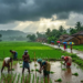Heavy Rainfall Alert: अगले 2 हफ्तों में भारी बारिश की चेतावनी, IMD ने जारी किया अलर्ट 13 Heavy Rainfall Alert