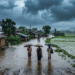 Heavy Rainfall Alert: ओडिशा-झारखंड में भारी बारिश, IMD ने जारी किया Orange Alert 12 Heavy Rainfall Alert