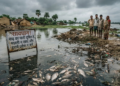Nepal Flood Fish Bihar