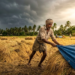 बड़ा अपडेट! Monsoon Withdrawal शुरू होने वाली है, कहां बरसेगा पानी? 12 Monsoon Withdrawal