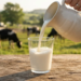 Milk Price Hike