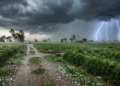 चेतावनी! पंजाब में आंधी-तूफान आने वाला है: ओलावृष्टि भी संभव 2 Punjab Weather Alert